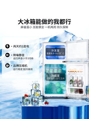 荣事达小冰箱家用小型宿舍用租房节能省电冷藏冷冻双门电冰箱